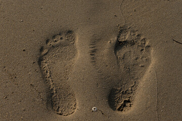 Fototapeta na wymiar always leaving a footprint sand beach