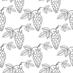 Hops. Pattern. Oktoberfest. Branch of Humulus lupulus. Hop cones for beer production. Sketches of hops on a branch with leaves. Engravings. Illustration for packaging. Hand drawing. Isolated on  white
