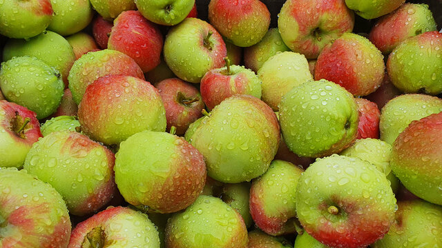 Fresh crispy apples on a farmers market