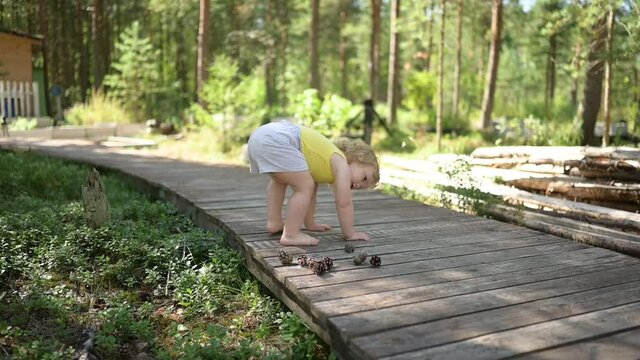 Little funny cute blonde girl child toddler in yellow undershirt and grey shorts walking playing on wooden eco trail outside at summer at front yard countryside. Healthy happy childhood concept. 