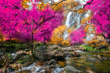 Amazing in nature, beautiful waterfall at colorful autumn forest in fall season	