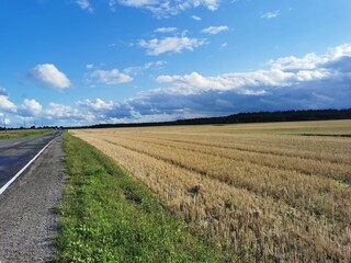 autumn field in the Russian village mowed grass and clouds