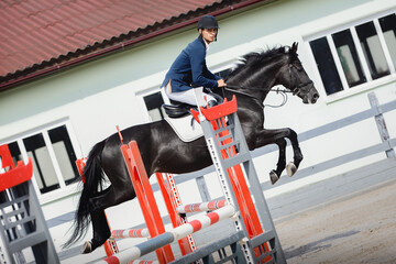 closeup portrait of black stallion horse and handsome man rider jumping obstacle during showjumping...