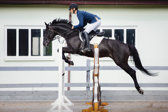 black stallion horse and handsome man rider jumping obstacle