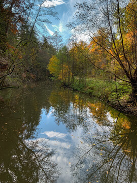 autumn trees reflected in water © Alessandra Finding