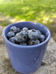 blueberries in a basket © ooolga32