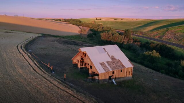 Aerial: Wheat fields and old barn at sunset, Pullman, Washington, USA