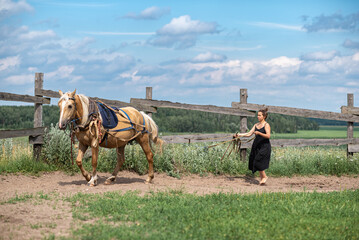 Young beautiful girl on the farm is engaged with a horse.