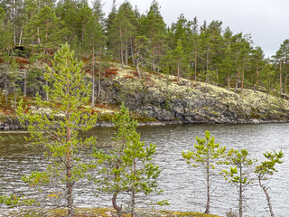 Islands with forest and rocks on Lake Ladoga