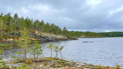 Islands with forest and rocks on Lake Ladoga