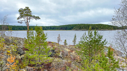 Islands with forest and rocks on Lake Ladoga