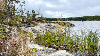 Islands with forest and rocks on Lake Ladoga
