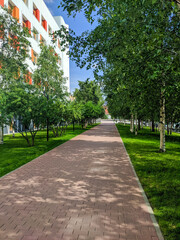 Pedestrian road among bright green grass and tall trees against the blue sky. Vertical. Noyabrsk, Russia