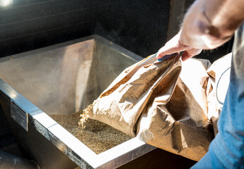 A young brewer in a leather apron controls the grinding of malt seeds in a mill at a modern brewery - obrazy, fototapety, plakaty