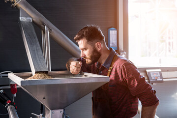 A young brewer in a leather apron controls the grinding of malt seeds in a mill at a modern brewery - obrazy, fototapety, plakaty