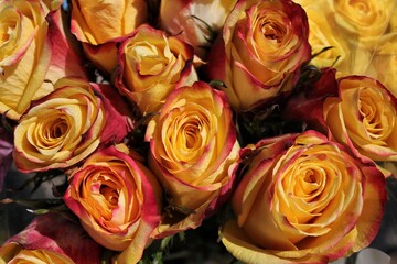 Huge bouquet of beautiful yellow roses in full bloom.