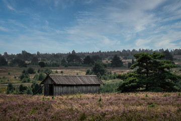 Scheune in der typischen Heidelandschaft