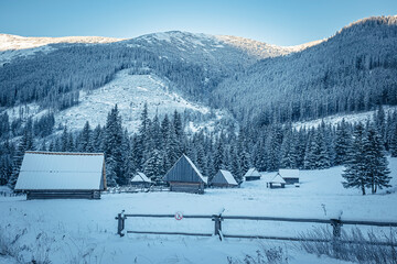 Polana Chochołowska in winter, Western Tatra Mountains, Poland. High hills, dense forest and old wooden huts that are abandoned. Selective focus on the buildings, blurred background.