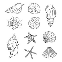 Doodle starfish and seashells set, hand-drawn sea symbols. Fossils painted by ink, pen. Line, minimalism. Simple sketchy icons . Isolated. Vector illustration. © Ольга Фурманюк