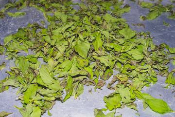 mint on the metal table