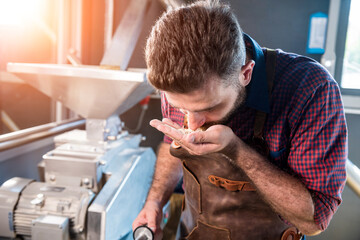 A young brewer in a leather apron controls the grinding of malt seeds in a mill at a modern brewery - obrazy, fototapety, plakaty