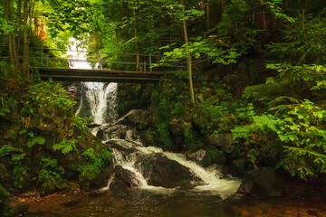 Todtnauer Wasserfall © Yvonne Weis