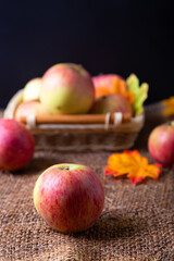 Ripe apples on burlap and in a basket on a black background. Rustic style, close-up.