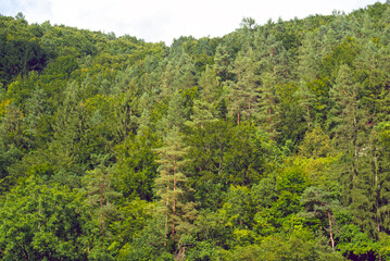 Goessweinstein- Fraenkische Schweiz