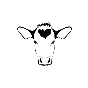 Vector of cow head on a white background. mammal. Animals. cow head logos or icons. Easy editable layered vector illustration. For beef farms or dairy farms.
