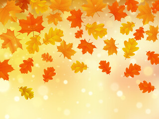 Naklejka na ściany i meble Autumn background with maple and oak leaves. Vector illustration