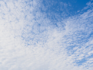 Fototapeta na wymiar cloudy blue sky in sunny day. 