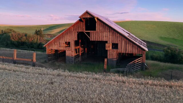 Aerial: Wheat fields and old barn at sunset, Pullman, Washington, USA