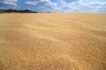 日本・鳥取砂丘の砂の写真