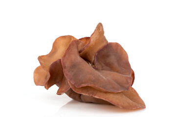 Jelly ear mushrooms isolated on white surface.