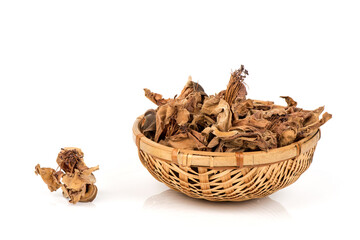 Dried opera flowers isolated on white surface.