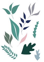 Leaves, hand drawn leaves, decoration elements