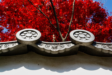 Detail of a traditional Japanese roof with a red maple tree in autumn fall, in Kyoto, Japan
