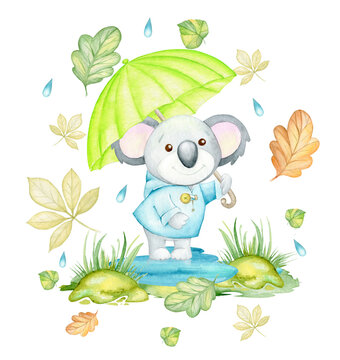 Koala, with an umbrella, autumn, leaves, raindrops. Watercolor, animal, on an isolated background, in a cartoon style.