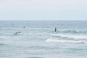 Fototapeta na wymiar Surfer chilling on the wave, les casernes beach, seignosse, landes, france