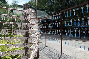 神社の風鈴とおみくじ