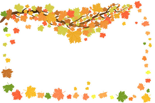 Seasonal frame design with orange maple leaves isolated on white background. Season sale backdrop with falling autumn leaves and copy space. Maple branch with space for text. Stock vector illustration