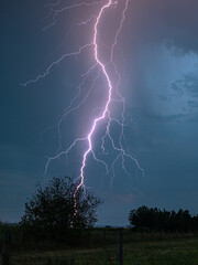 A branched bolt of lightning striking just behind a tree