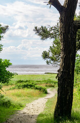 Weg aus dem Wernerwald in Cuxhaven Sahlenburg zum Strand mit Bäumen