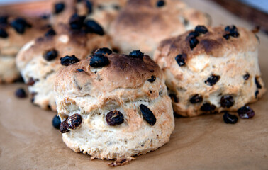 FRESHLY BAKED SCONES