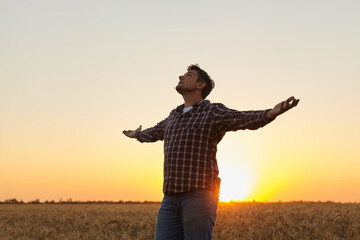 Man grateful for the harvest raised his hands up in the field