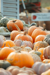 different pumpkins in a wooden crate