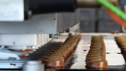 the work of the conveyor of the confectionery factory for the production of cookies