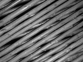 a close-up with a twig fence