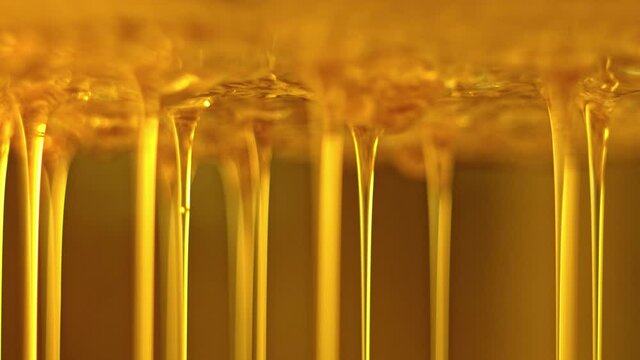 Honey flows down from the honeycomb