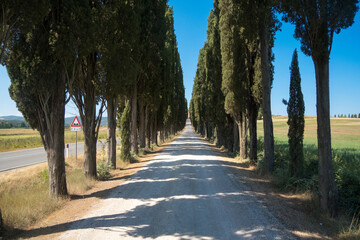 Perfect Road Avenue through cypress trees - ideal Tuscan landscape